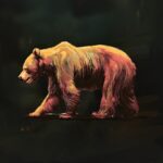 Aftershock Music Festival bear painting